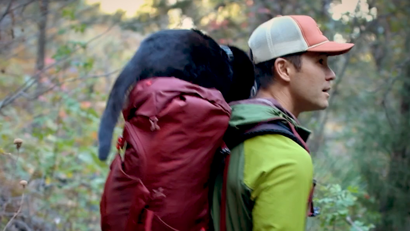 Purina Beyond: Halloween Adventure -- Episode 2